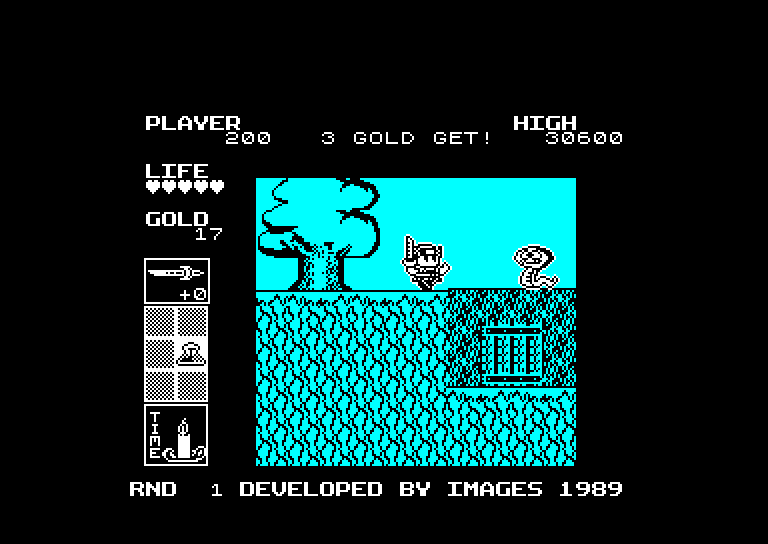 Super Wonder Boy In Monster Land, Amstrad CPC