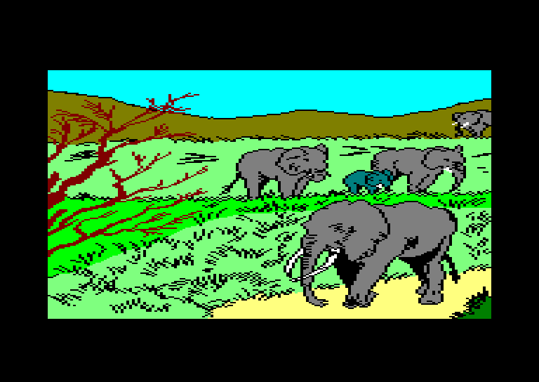 Amstrad CPC, Survivre