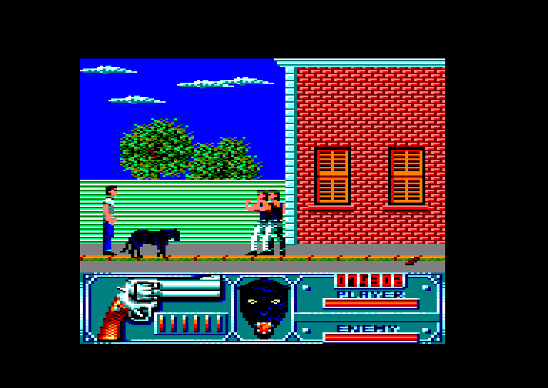 Amstrad  CPC, Wild Streets